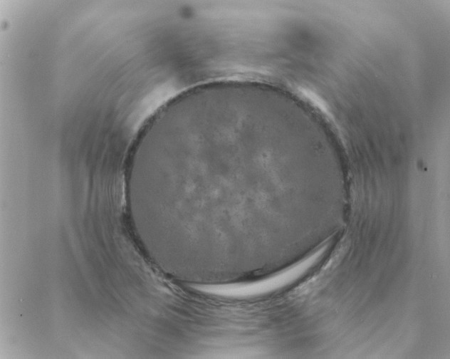 X0000088431267200705221238