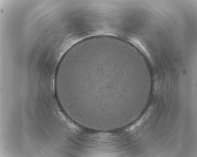 X0000088431268200705221238