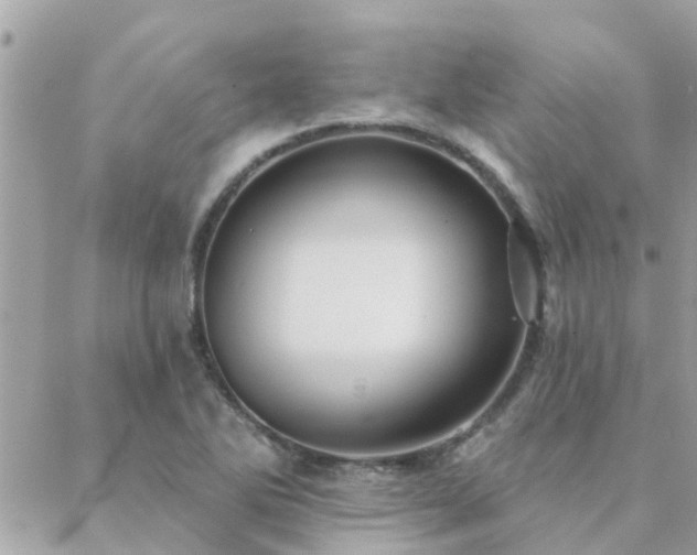 X0000088431270200705221238