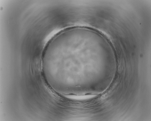 X0000088431271200705221238