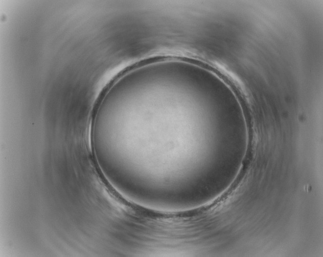 X0000088431272200705221238