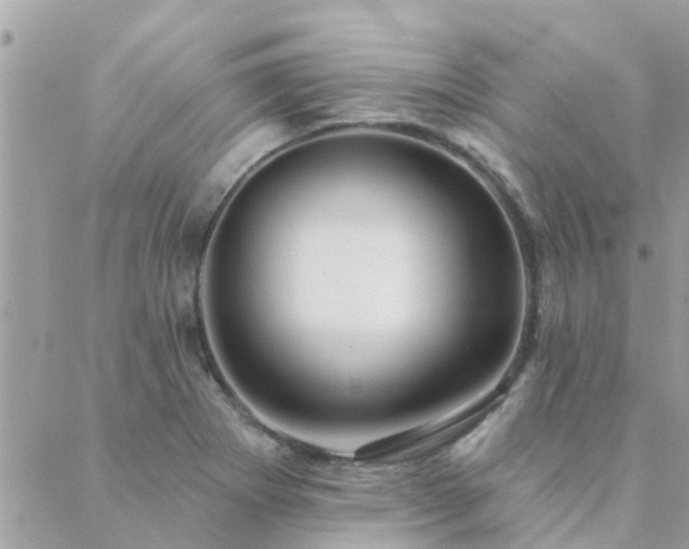 X0000088431273200705221238