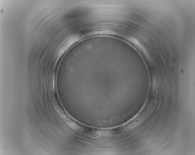 X0000088431274200705221238