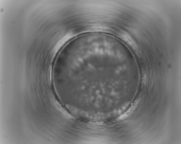 X0000088431275200705221238