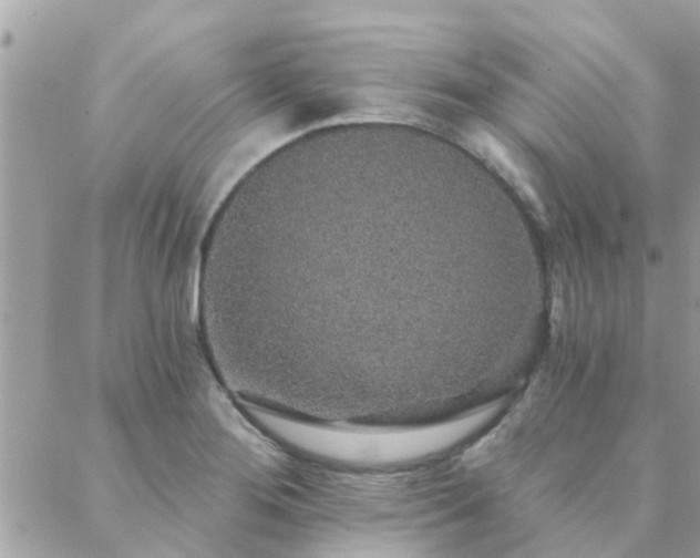 X0000088431276200705221238