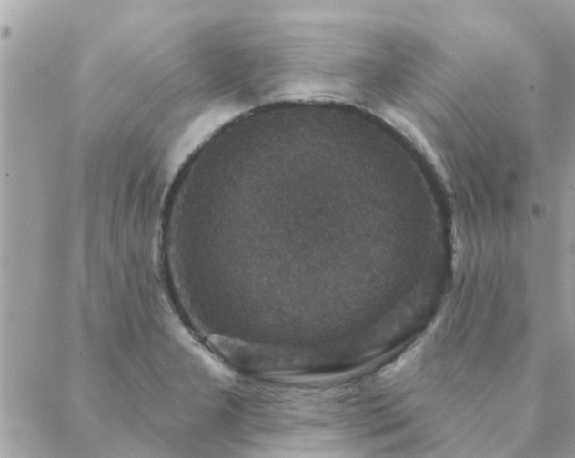 X0000088431277200705221238