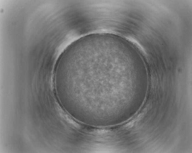 X0000088431278200705221238