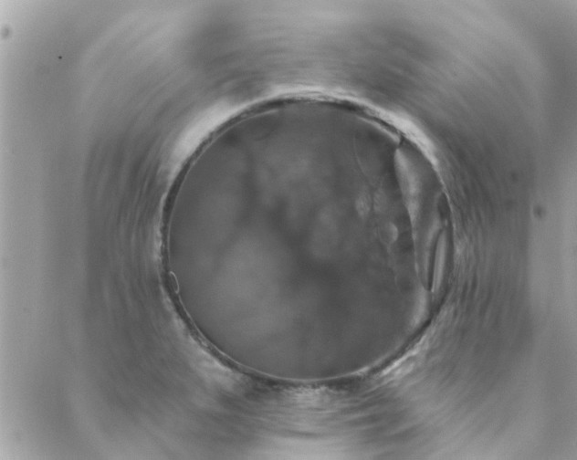 X0000088431279200705221238