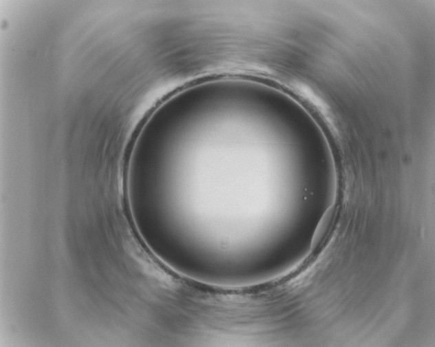 X0000088431280200705221238