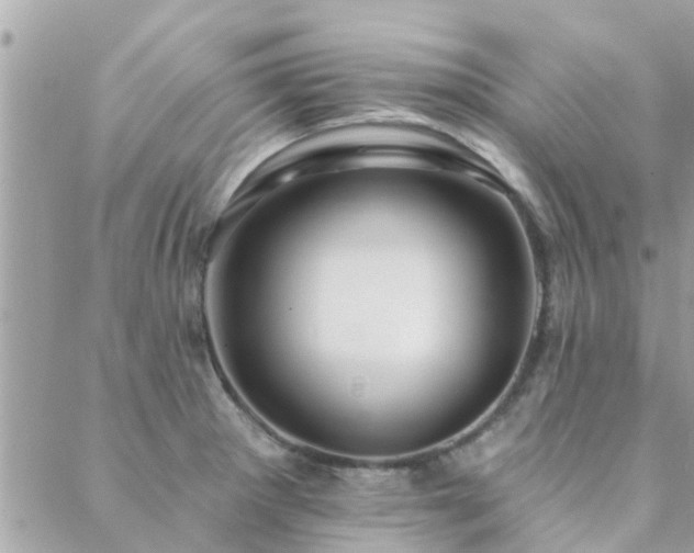 X0000088431281200705221238