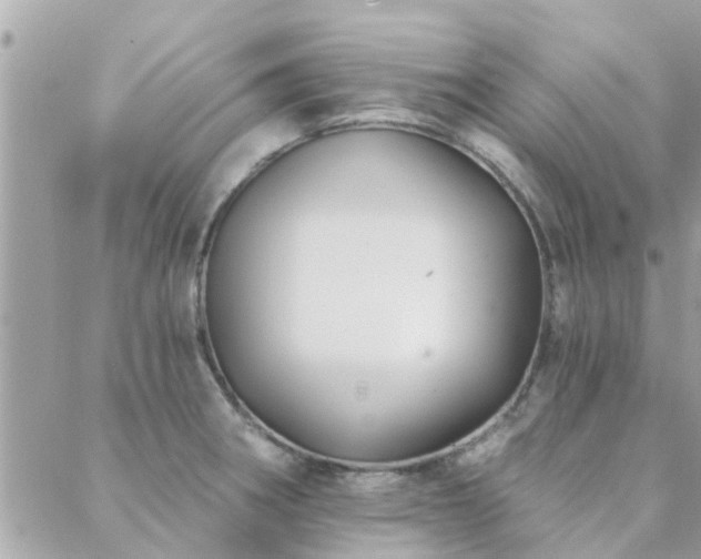 X0000088431282200705221238