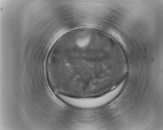 X0000088431283200705221238