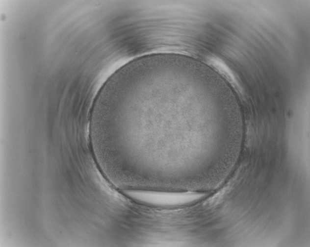 X0000088431284200705221238