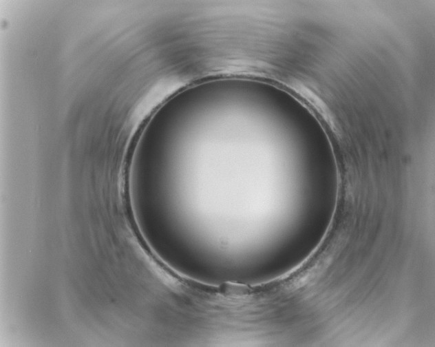 X0000088431285200705221238