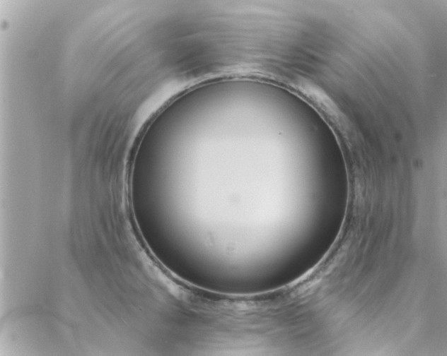 X0000088431286200705221238