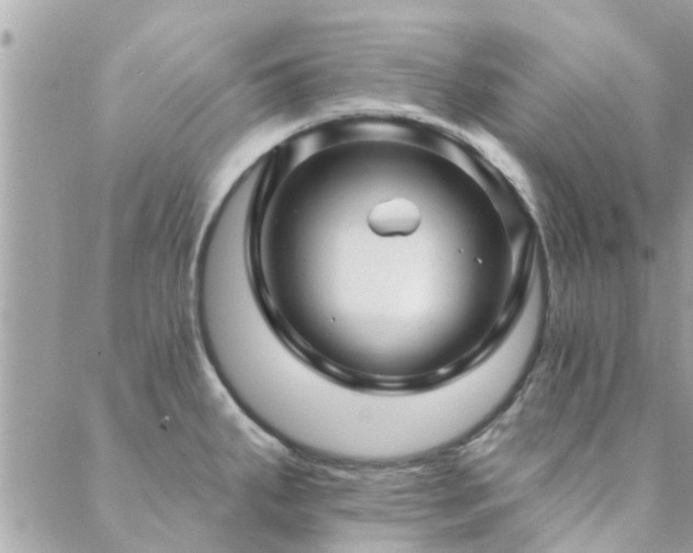 X0000088431287200705221238