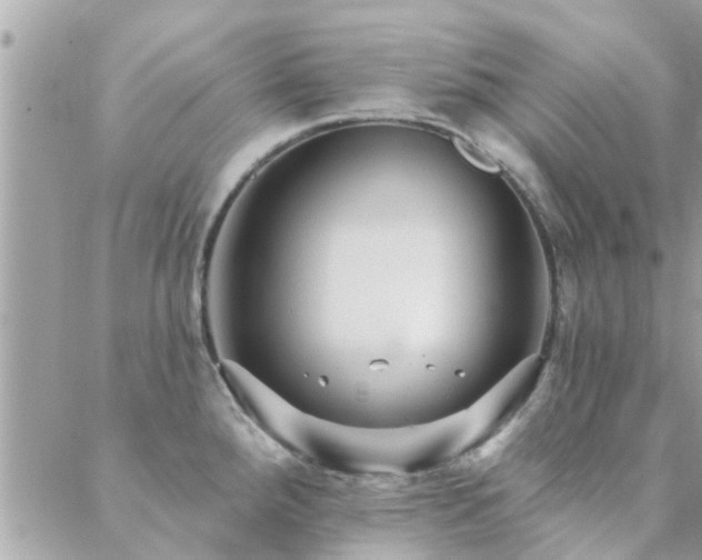 X0000088431288200705221238