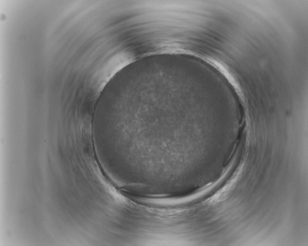 X0000088431289200705221238