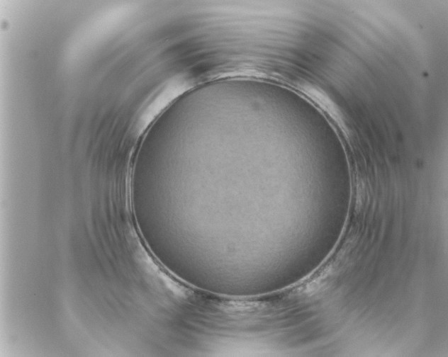 X0000088431290200705221238