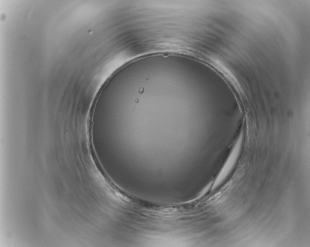 X0000088431291200705221238