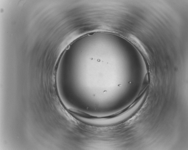 X0000088431292200705221238