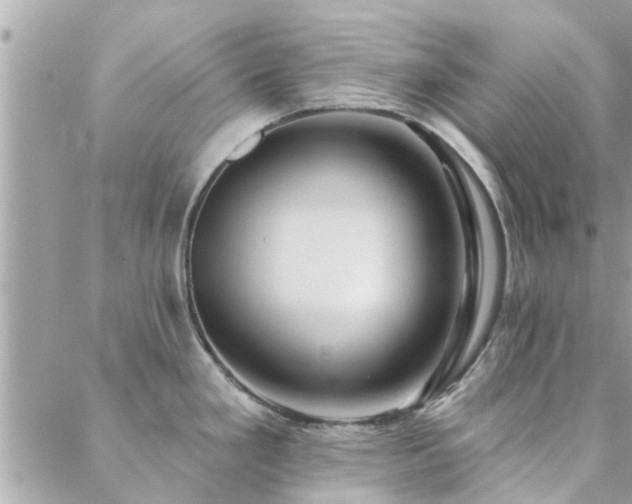 X0000088431293200705221238