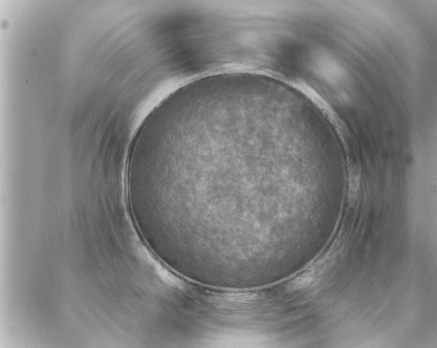 X0000088431294200705221238