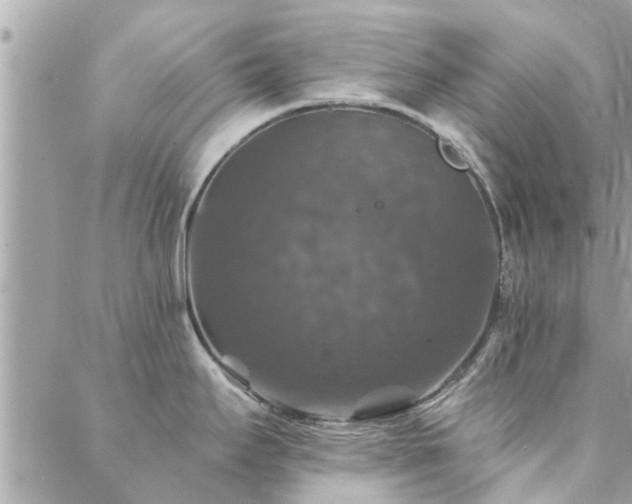 X0000088431295200705221238