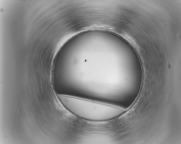 X0000088431296200705221238