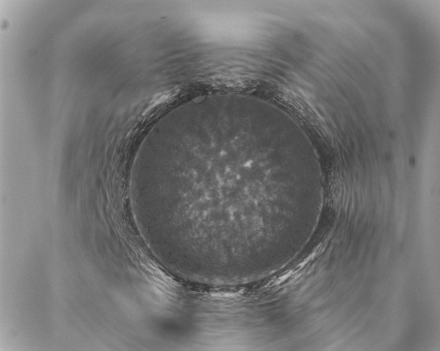 X0000088431297200705221237