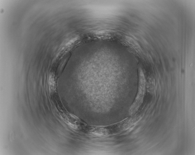 X0000088431298200705221237