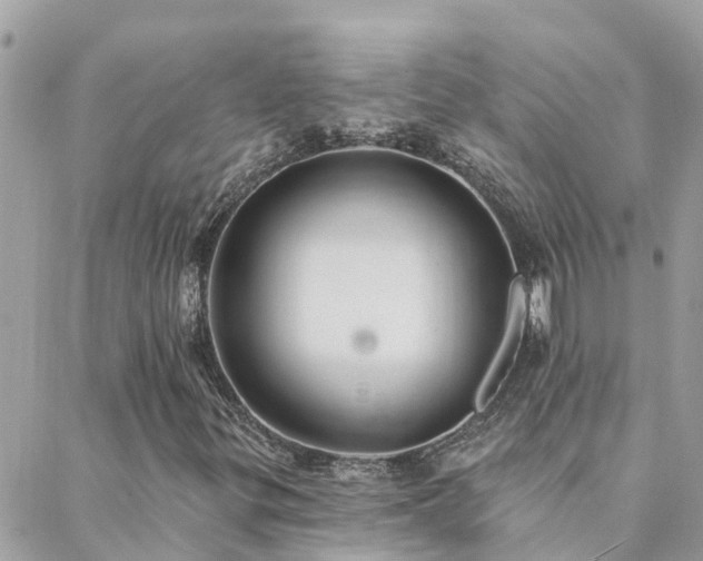 X0000088431299200705221237