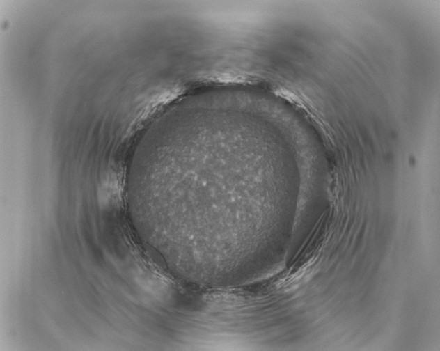 X0000088431300200705221237