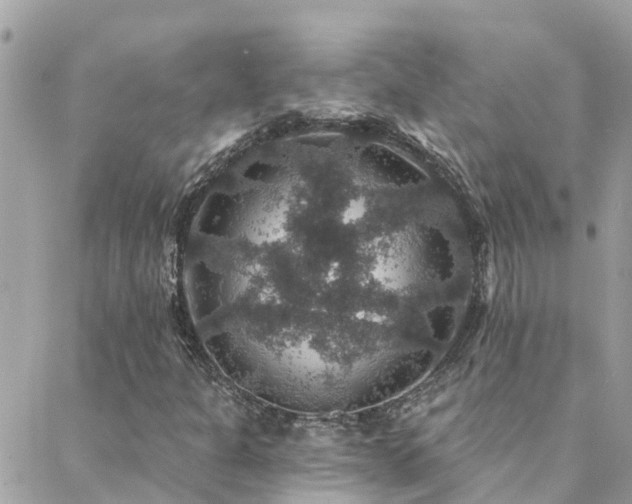 X0000088431301200705221237