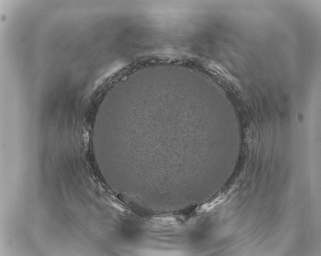 X0000088431302200705221237