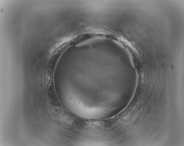 X0000088431303200705221237