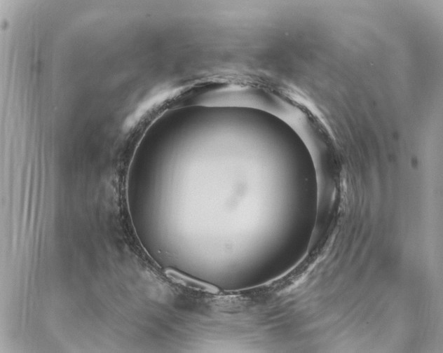 X0000088431304200705221237