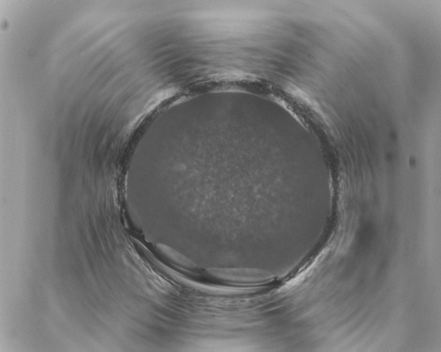 X0000088431305200705221237