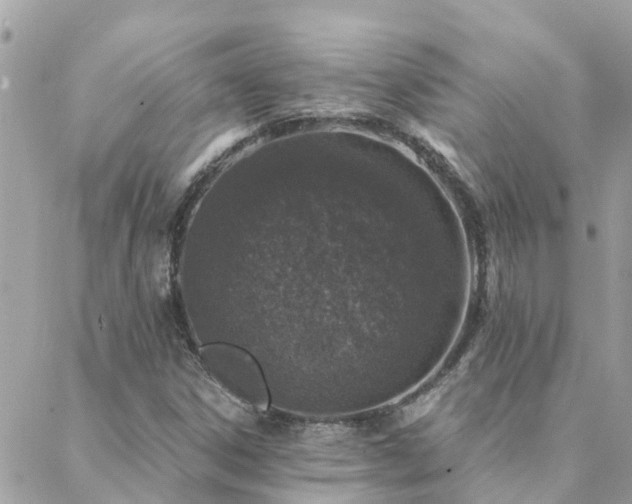 X0000088431306200705221237