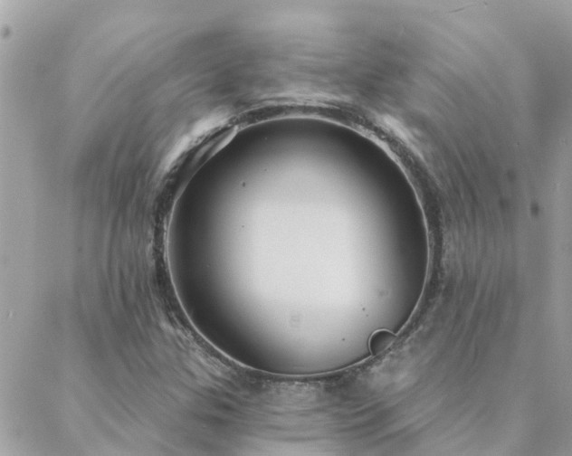 X0000088431307200705221237