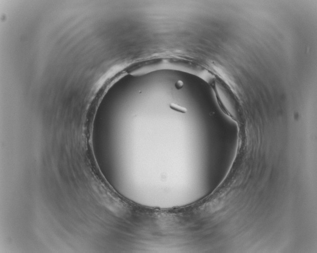 X0000088431308200705221237