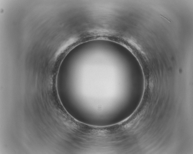 X0000088431309200705221237