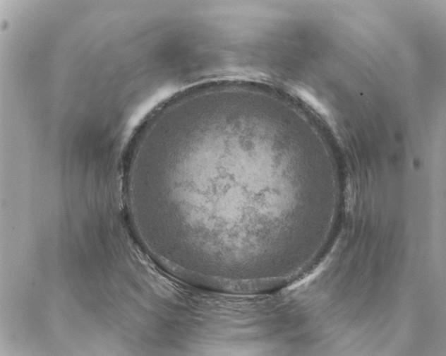 X0000088431310200705221237