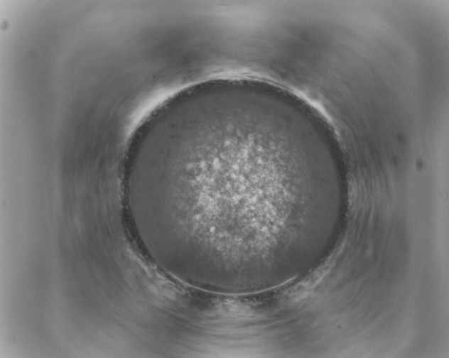 X0000088431311200705221237