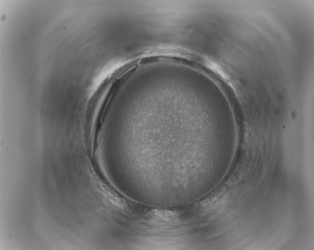 X0000088431312200705221237