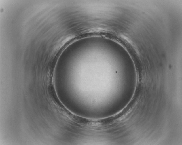 X0000088431313200705221237