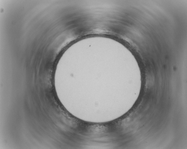 X0000088431314200705221237