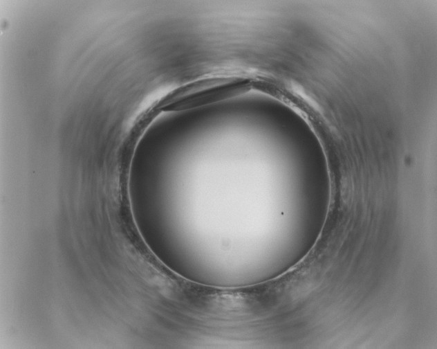 X0000088431315200705221237