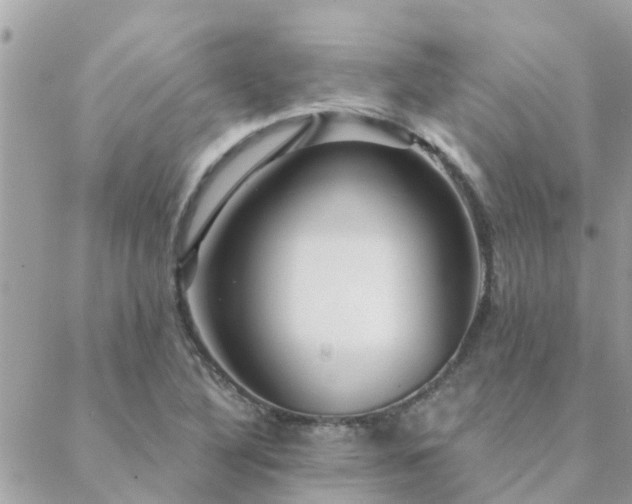 X0000088431316200705221237