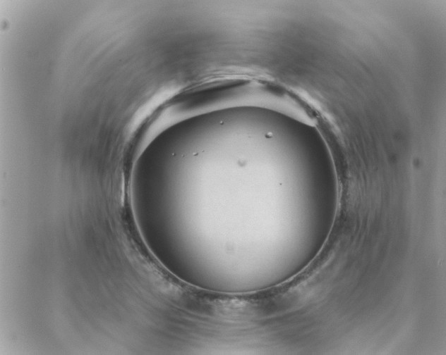 X0000088431317200705221237